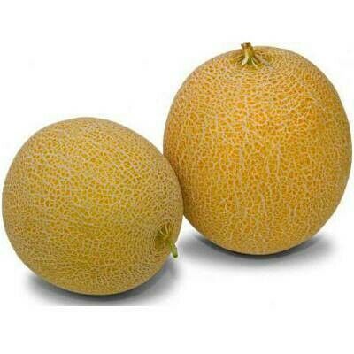 Выбираем дыню: вкусные «Колхозница» и «Канталупа» отличаются апельсиновымцветом, а «Медовая» весом